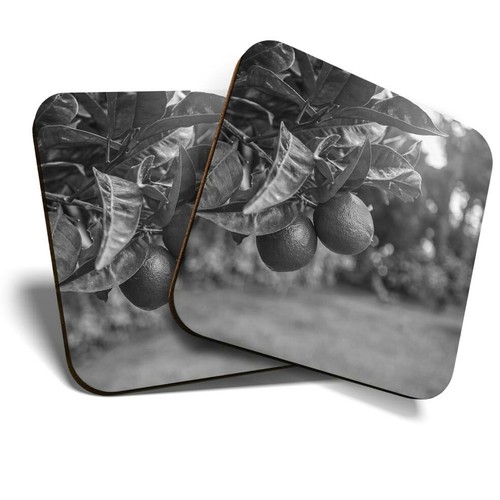 Coasters citrus - 2,