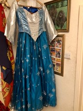 Pantomime Costume Sleeping Beauty 