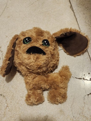 Dog plush toy - plush,