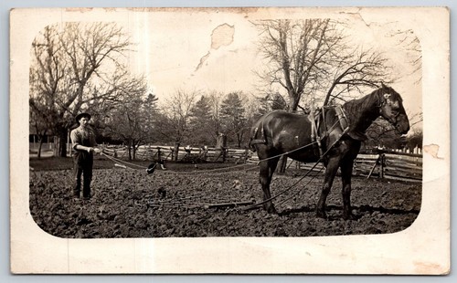 Rppc farmer long reins - w/long,