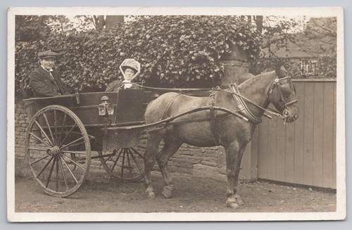 Rppc couple pony - rppc,