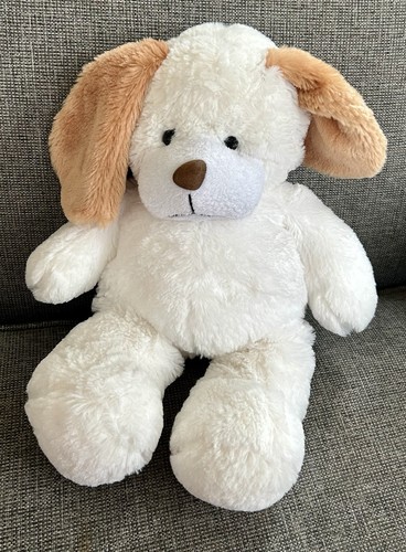 Floppy ear dog - ear, puppy