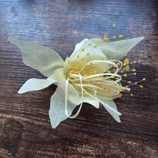 Pale yellow daffodil flower