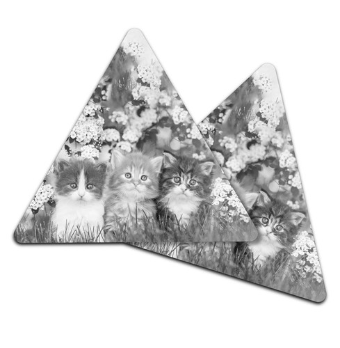 Triangle coaster bw - 2x,