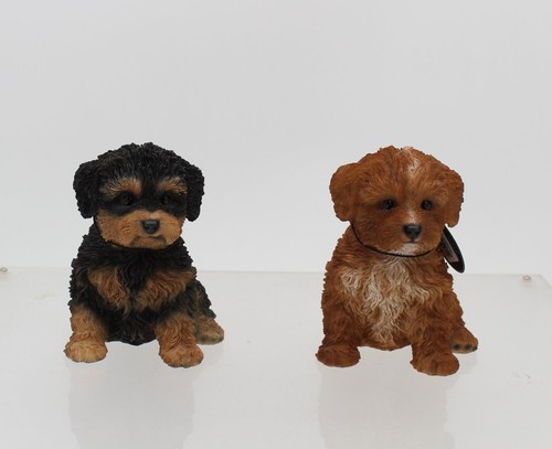 Vivid arts cavapoo puppy pet - arts,