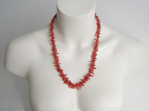 Chain branch coral - branch,