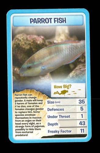 Info card a - x,