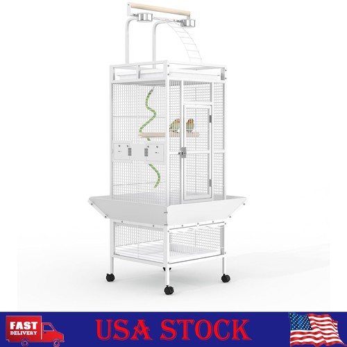 Large bird parrot play - large,