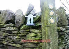 PHOTO  THIS IS A CLOSE UP OF