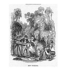 HOP PICKING - Antique Print 1842