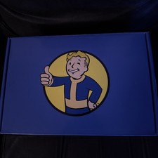 🔥 Bethesda Fallout Fall out