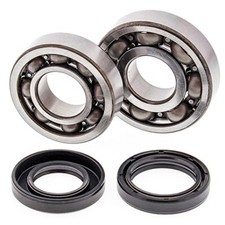 MOTOR SHAFT BEARINGS WITH
