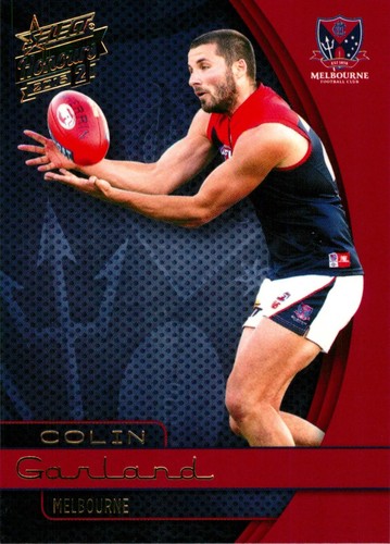 2015 melbourne demons - 2015,