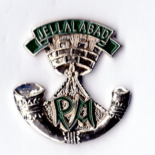 Enamel lapel badge - lapel,