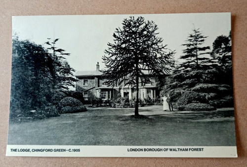 Postcard chingford green the - postcard,,
