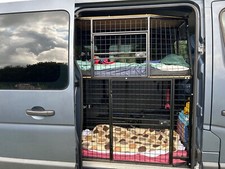 OffersTwo tiered Dog crate