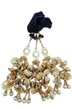 Indian punjabi parandi mehndi