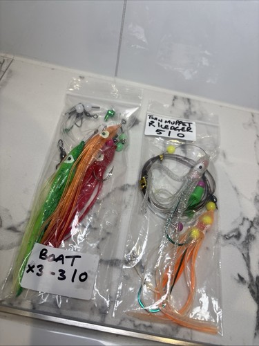 Sea fishing octopus squid - fishing,