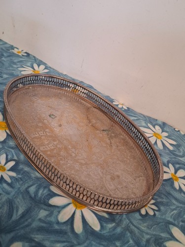 Vintage viners alpha plate - vintage,