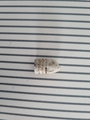 Ring lead bullets - 3,