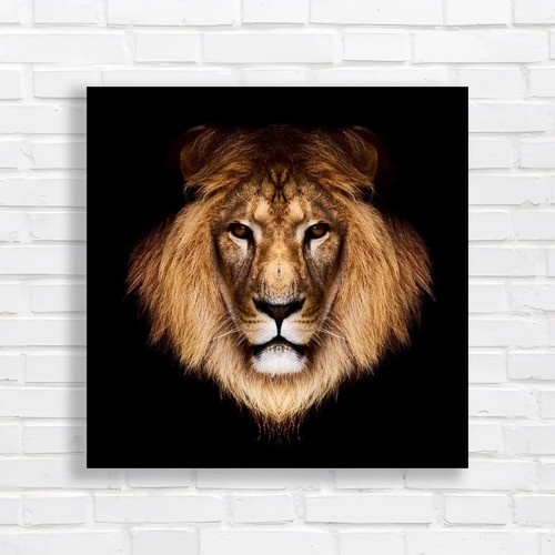 Lion face and lions head - lion,