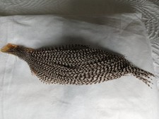 Rooster Grizzle Half Cape