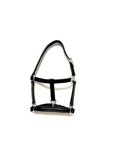 Headcollar mini shetland black - headcollar,