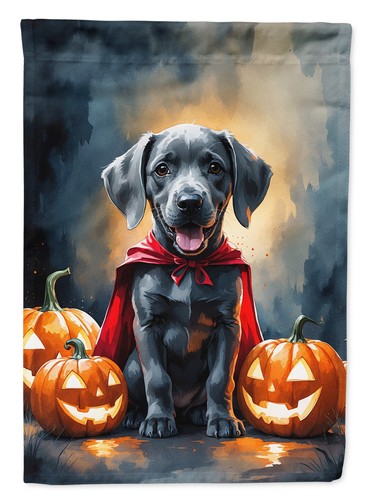 Weimaraner vampire puppy - weimaraner,