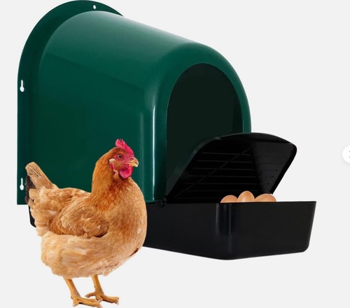 Pack nesting boxes chicken - nesting,