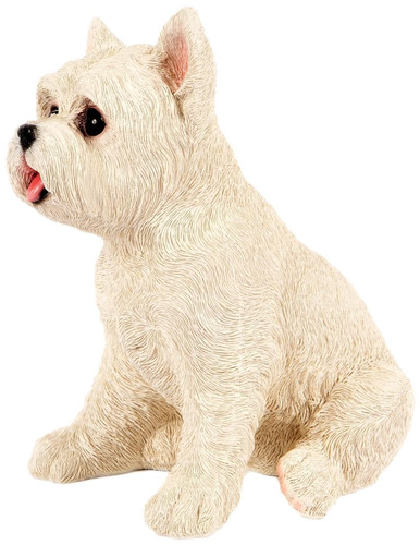 Sitting westie garden - westie,