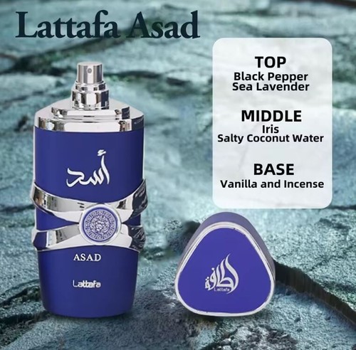 Lattafa asad zanzibar perfume - lattafa,