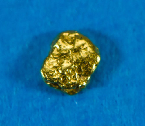 Alaskan yukon gold rush - bc,