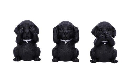 Three wise black labradors - three,