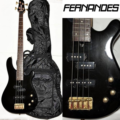 Fernandes bass guitar case - guitar,