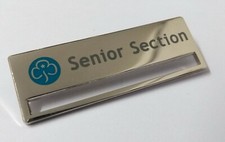 The Girlguiding UK Insignia Hi