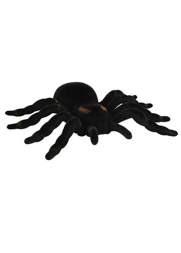 Halloween party decoration - party,