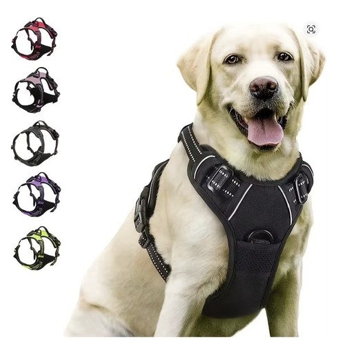 Dog harness collar set - &,
