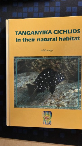 Tanganyika cichlids their - tanganyika,