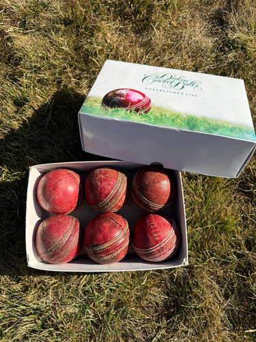 Used unbranded cricket - used,