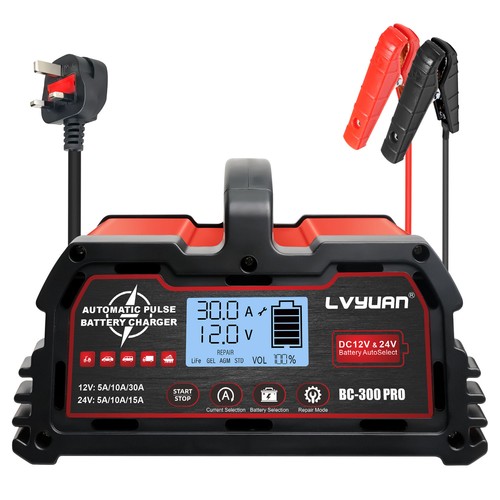 30a 12v 24v car - 12v/24v, battery