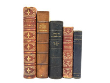 Collection of Old Books With Leather Spines for Decoration. 23cm shelf space.