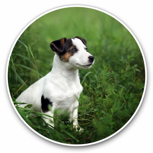 Vinyl stickers 15cm jack - vinyl,