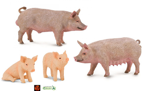 Farm pig male boar sow - farm,