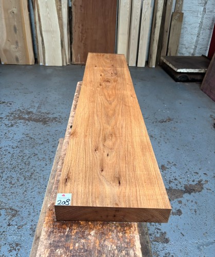 Red elm 50mm - elm,