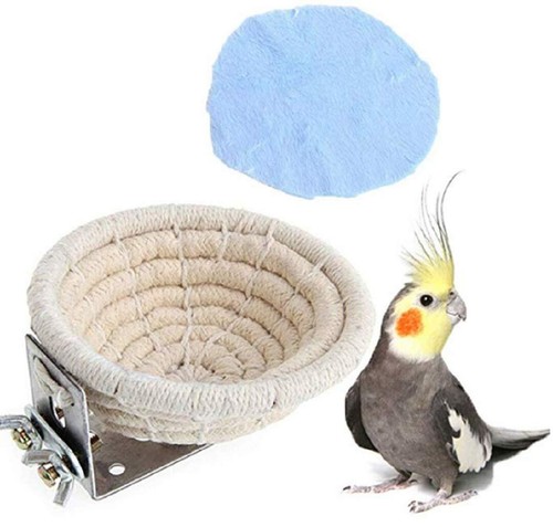 Bird breeding nest - nest, bed