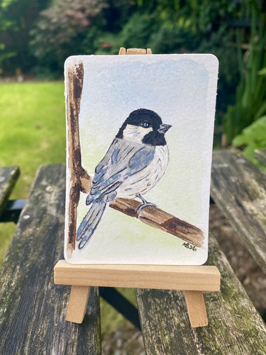 Aceo original painting bird - original,