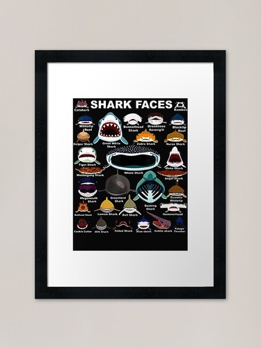 Types shark identification - of,