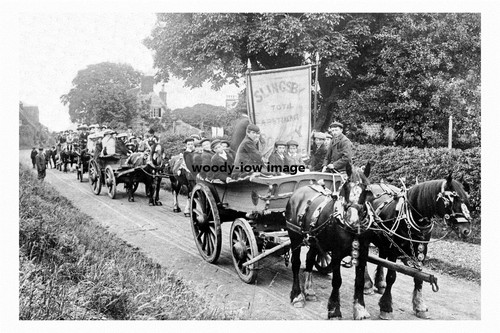 Pt3973 horse carts - pt3973,
