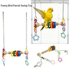 Pet Bird Parrot Parakeet