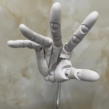 Articulated Hand Model Drawing